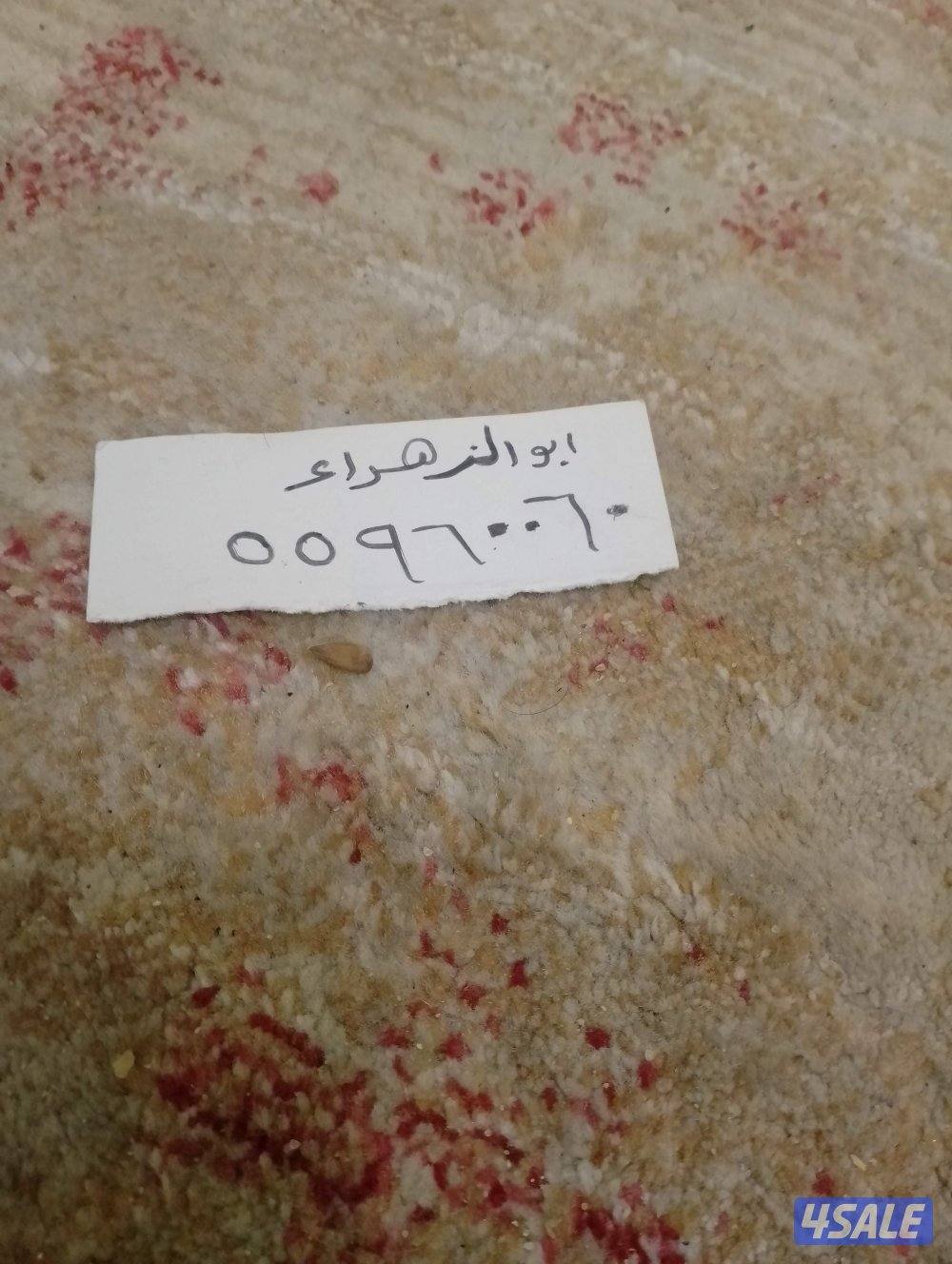 معلم مساح وسجما0