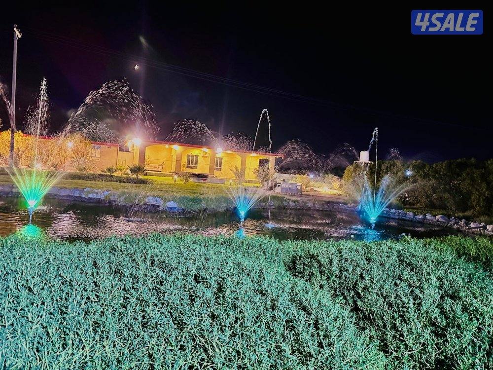 الدرة فارم V.I.P القشعانية العبدلي14