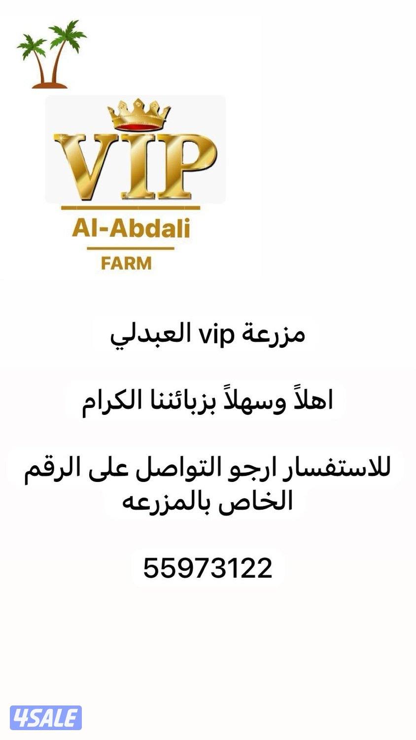 العبدلي كيلو 67 بالقرب من البانزين وجمعية القشعانيه2