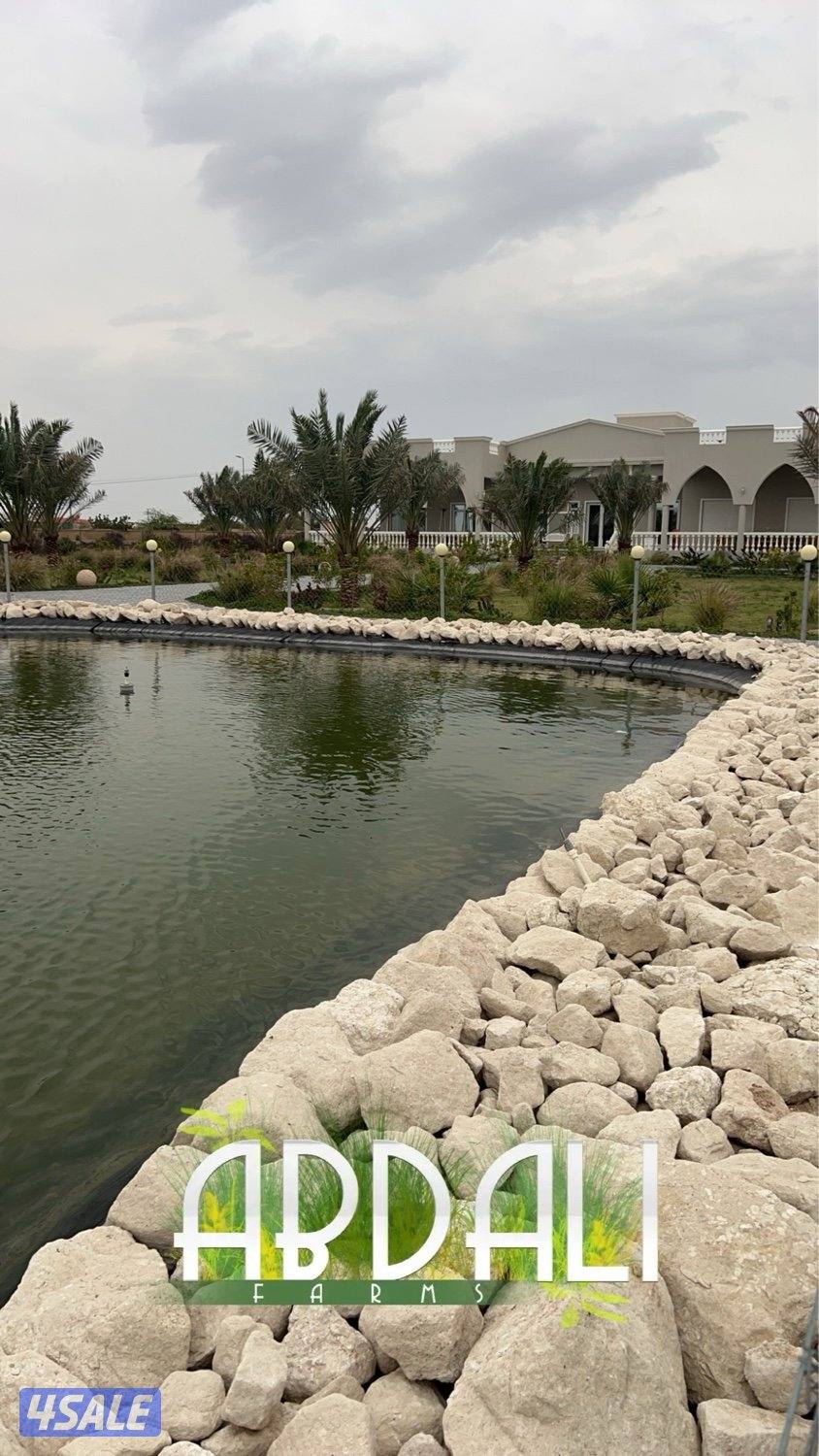 العبدلي كيلو 67 بالقرب من البانزين وجمعية القشعانيه1