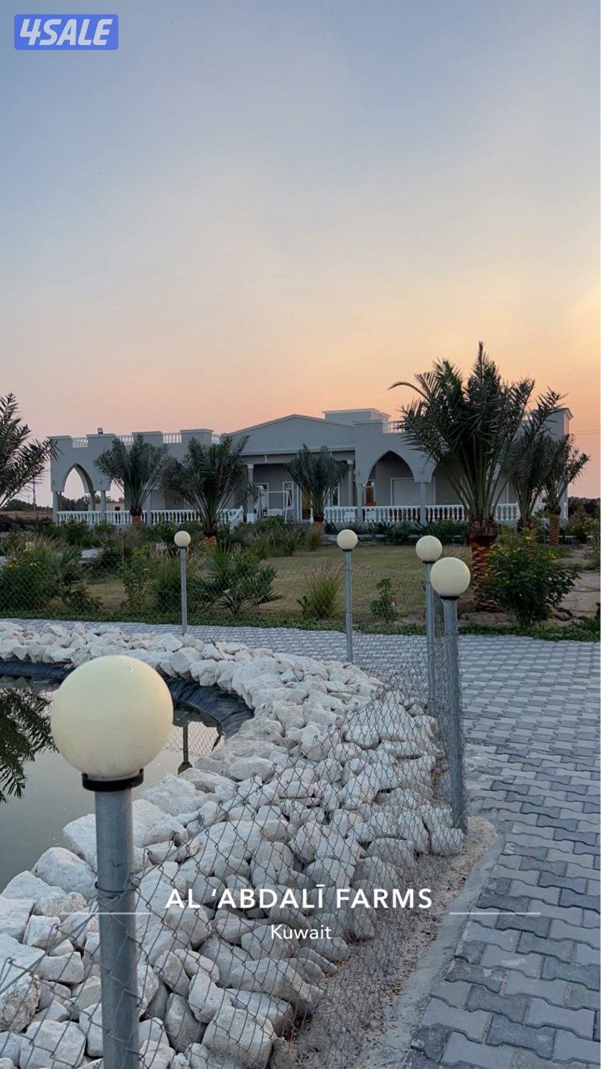 العبدلي كيلو 67 بالقرب من البانزين وجمعية القشعانيه3