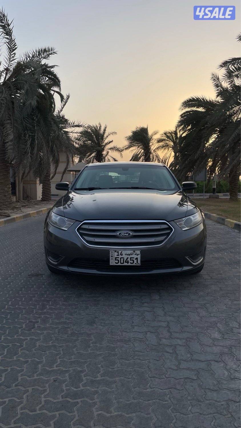 للمعاينة العارضية الحرفية2