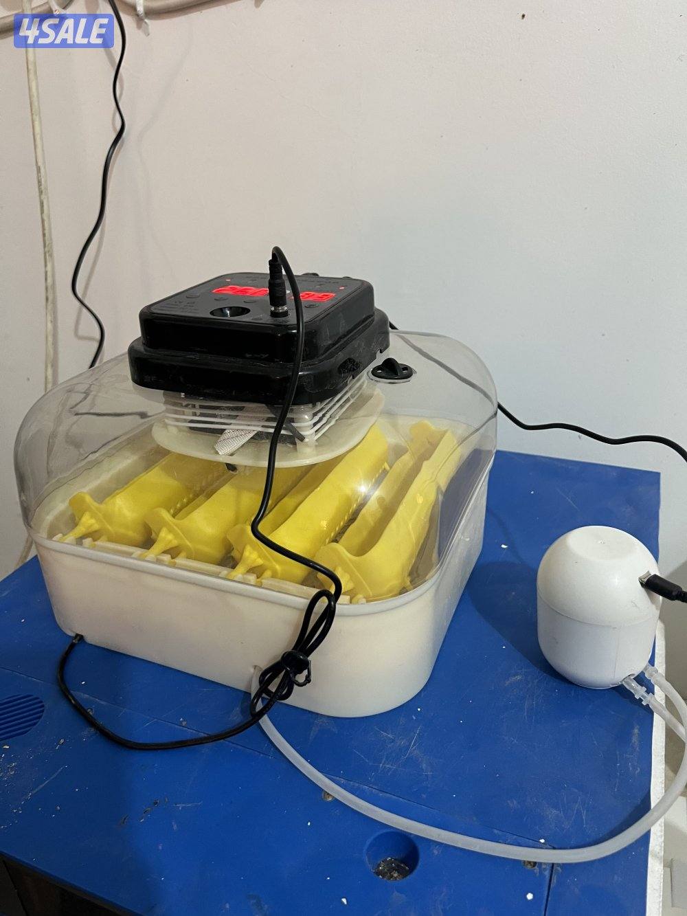 فقاسات الرابطة العالمية احجام صغيره وجودة في الانتاج1