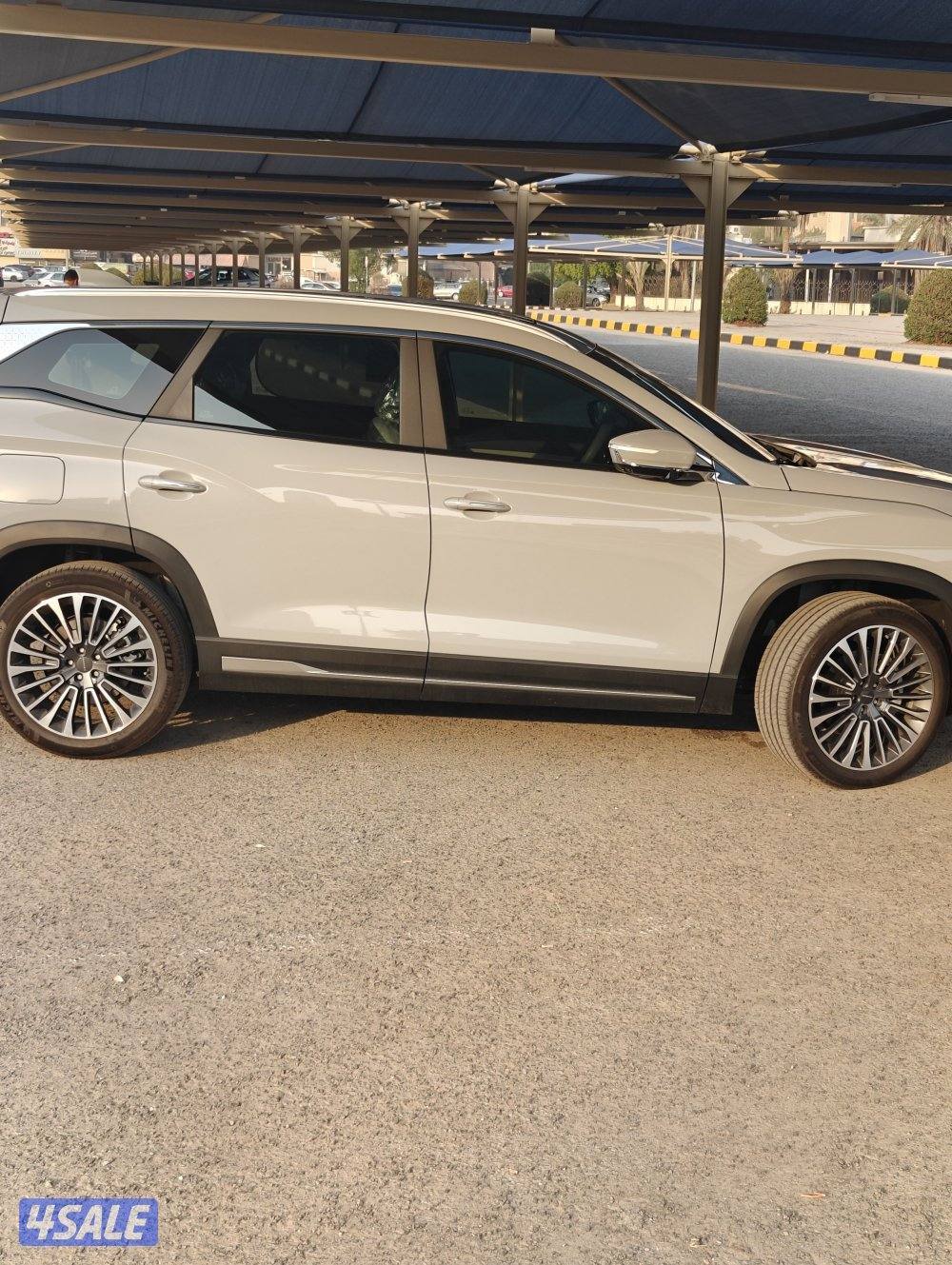 الربيع جيتور3