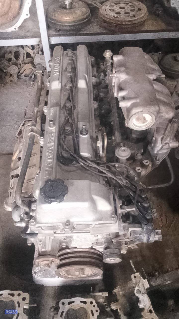 سكر اب السالمي1