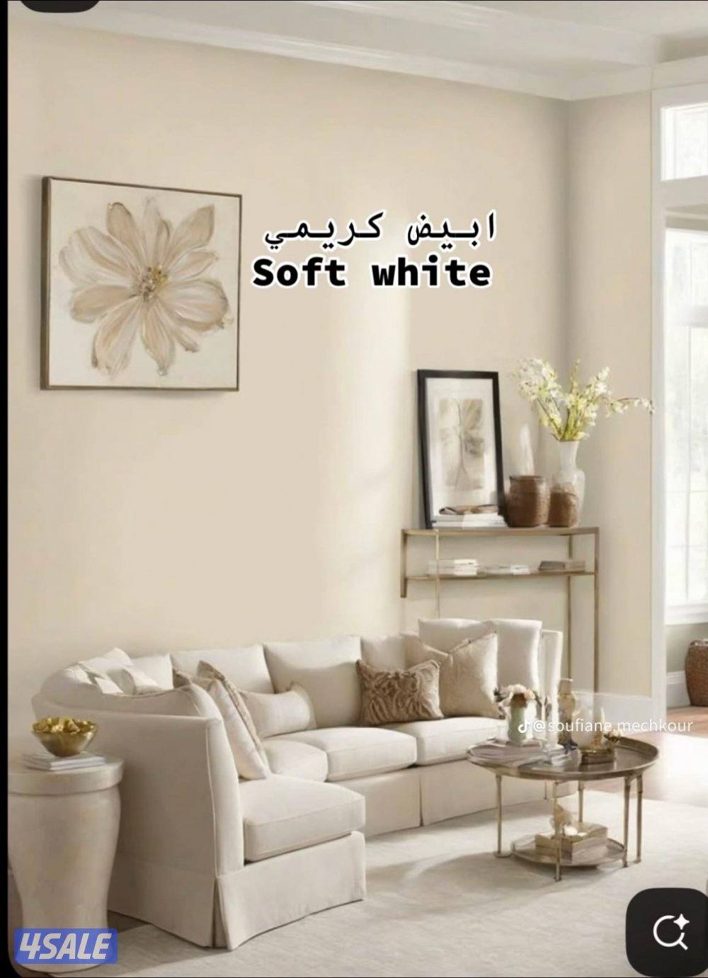 💯احدث الاصباغ 💥جميع المناطق💣 اقل الاسعار12