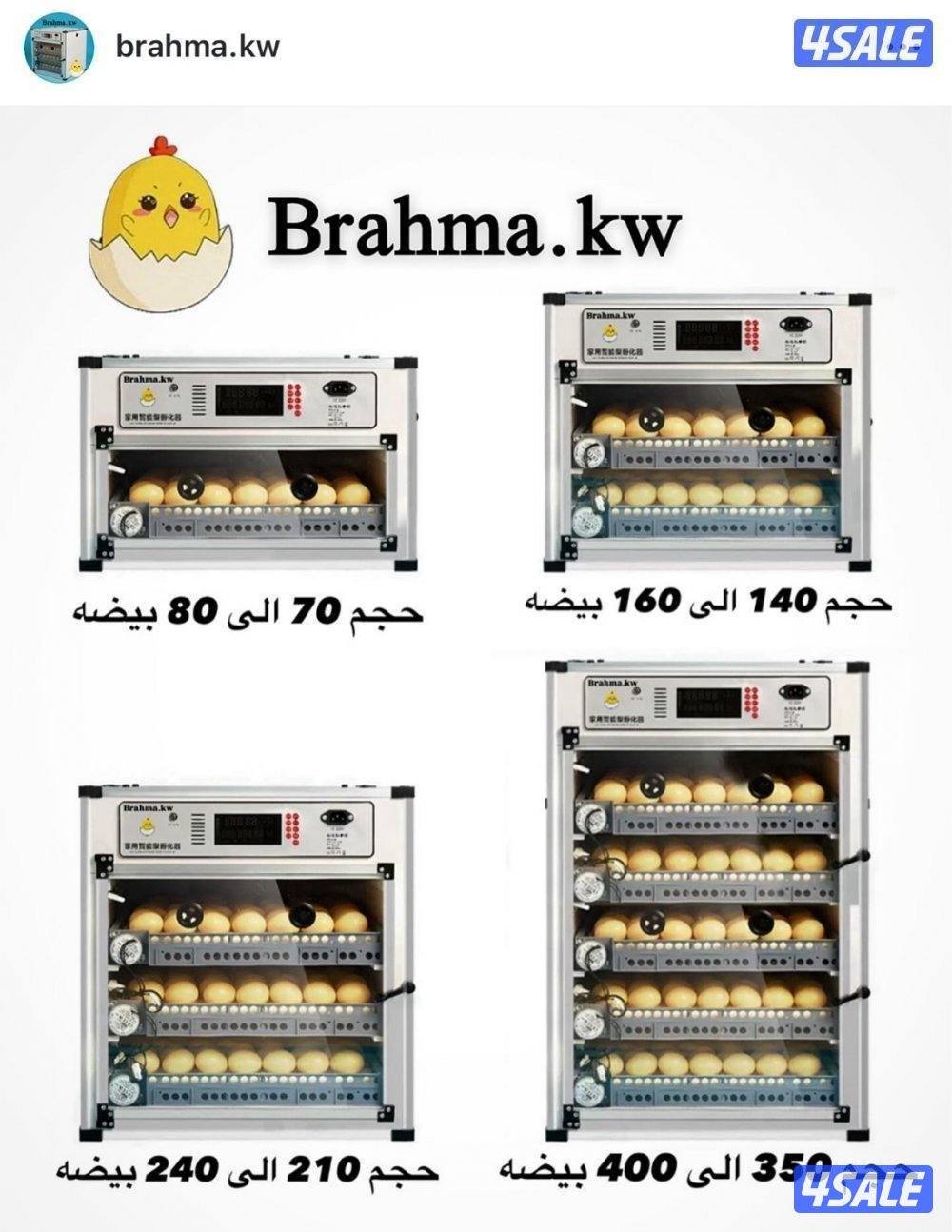 فقاسات براهما4