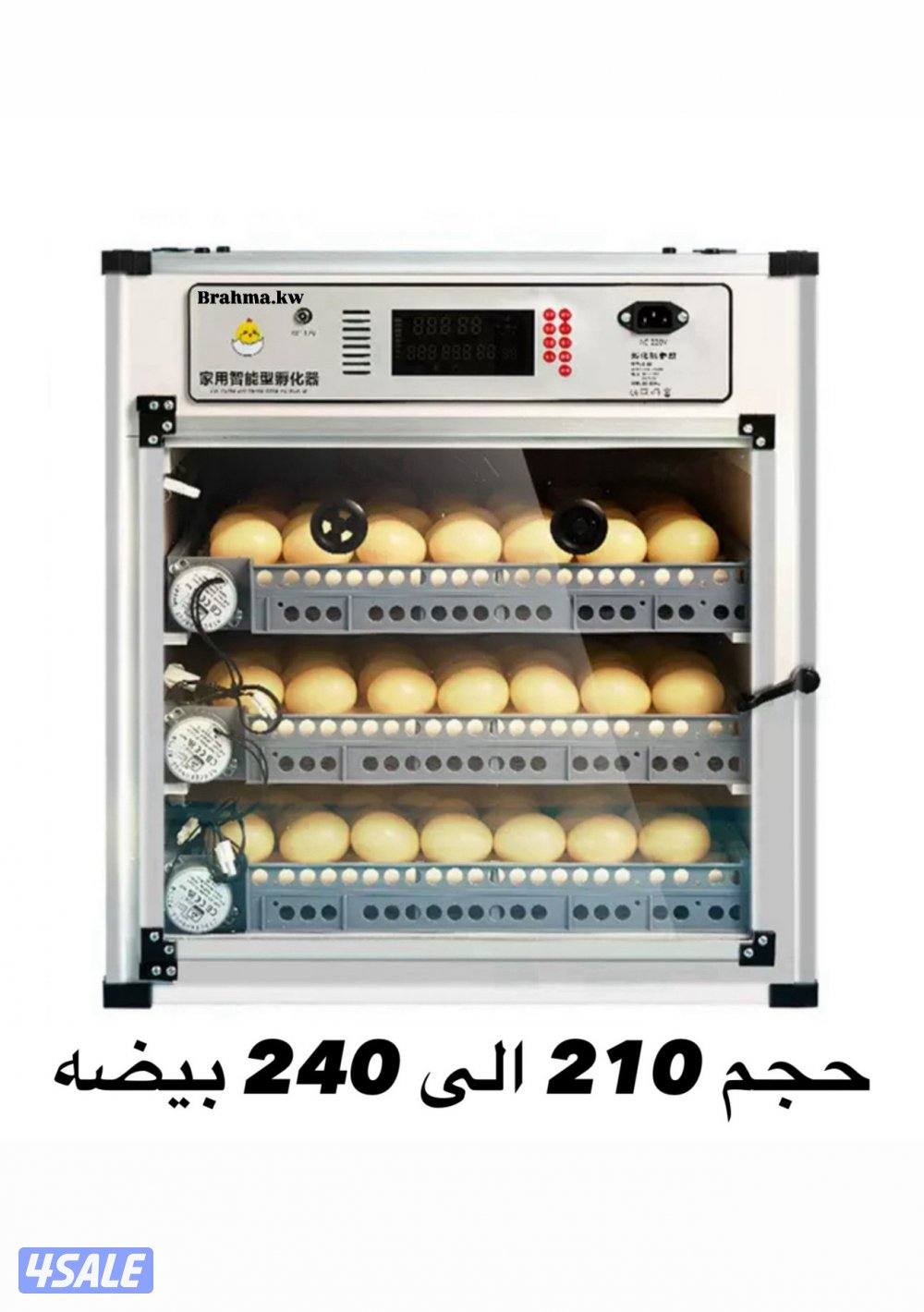 فقاسات براهما11