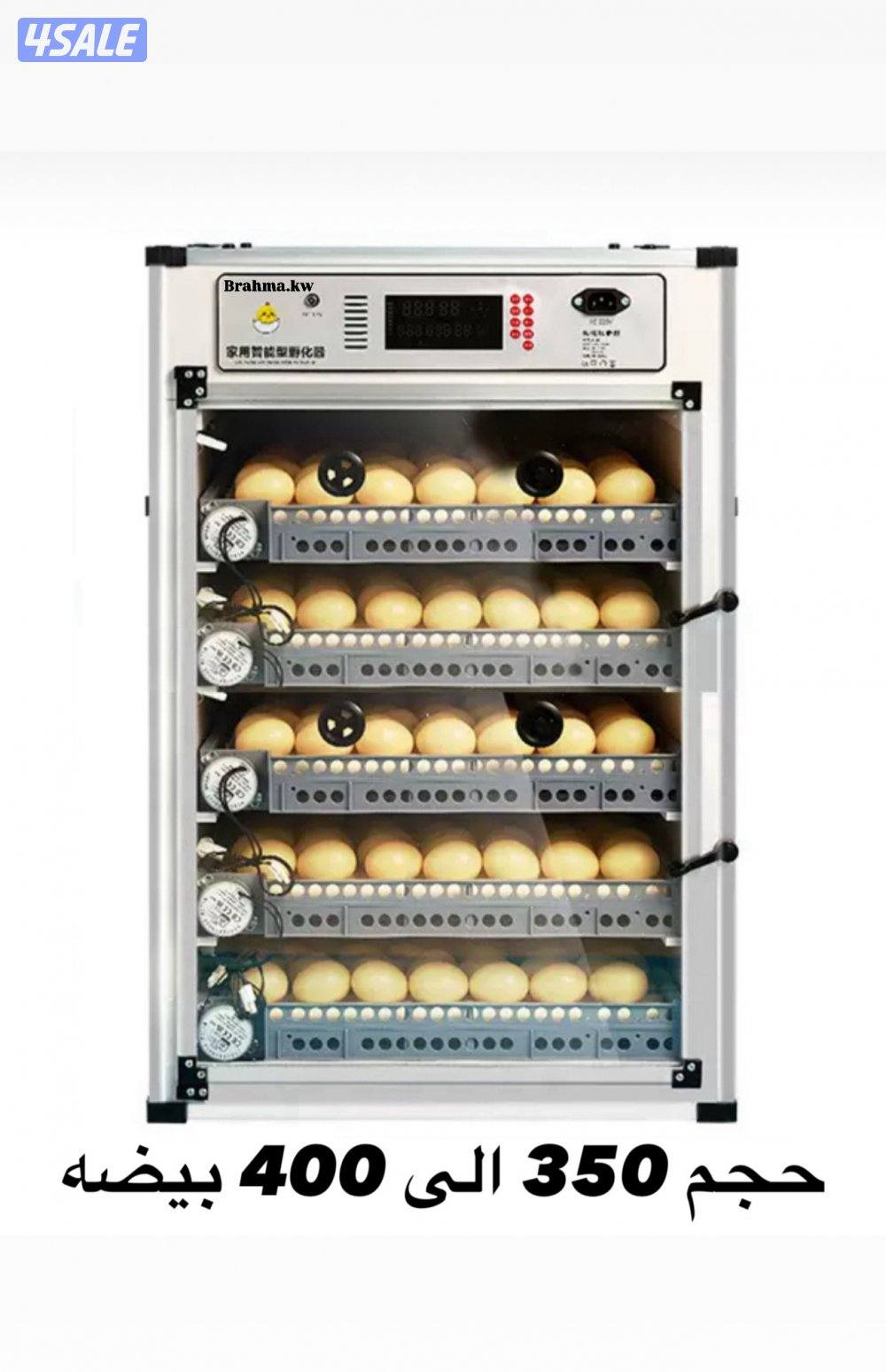 فقاسات براهما12