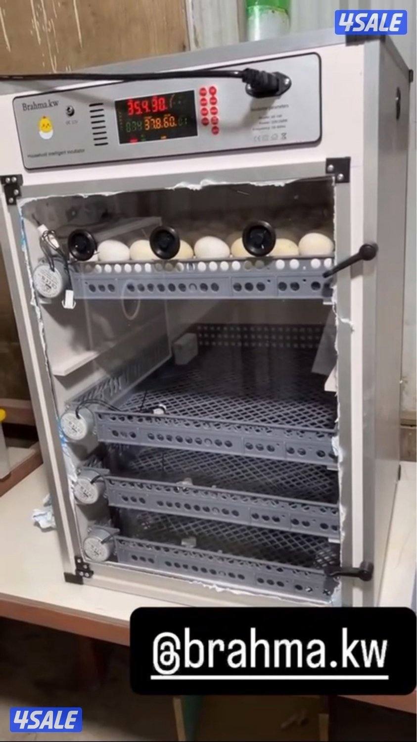 فقاسات براهما13