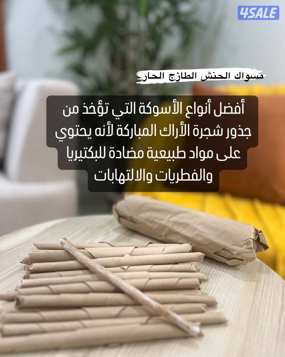 مسواك حنش الطازج الحار ..0