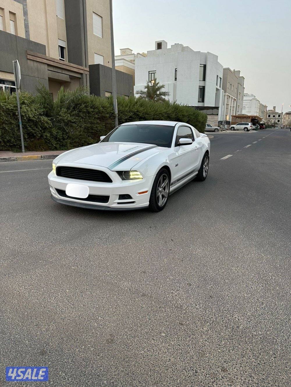 موستنج ٢٠١٤ حاله الوكاله2