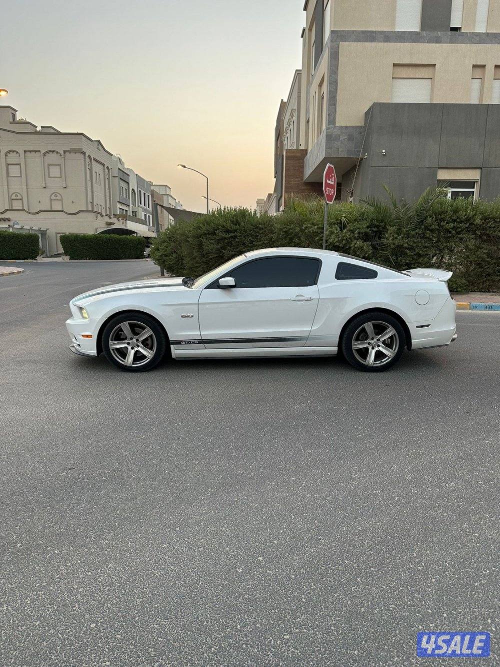 موستنج ٢٠١٤ حاله الوكاله4