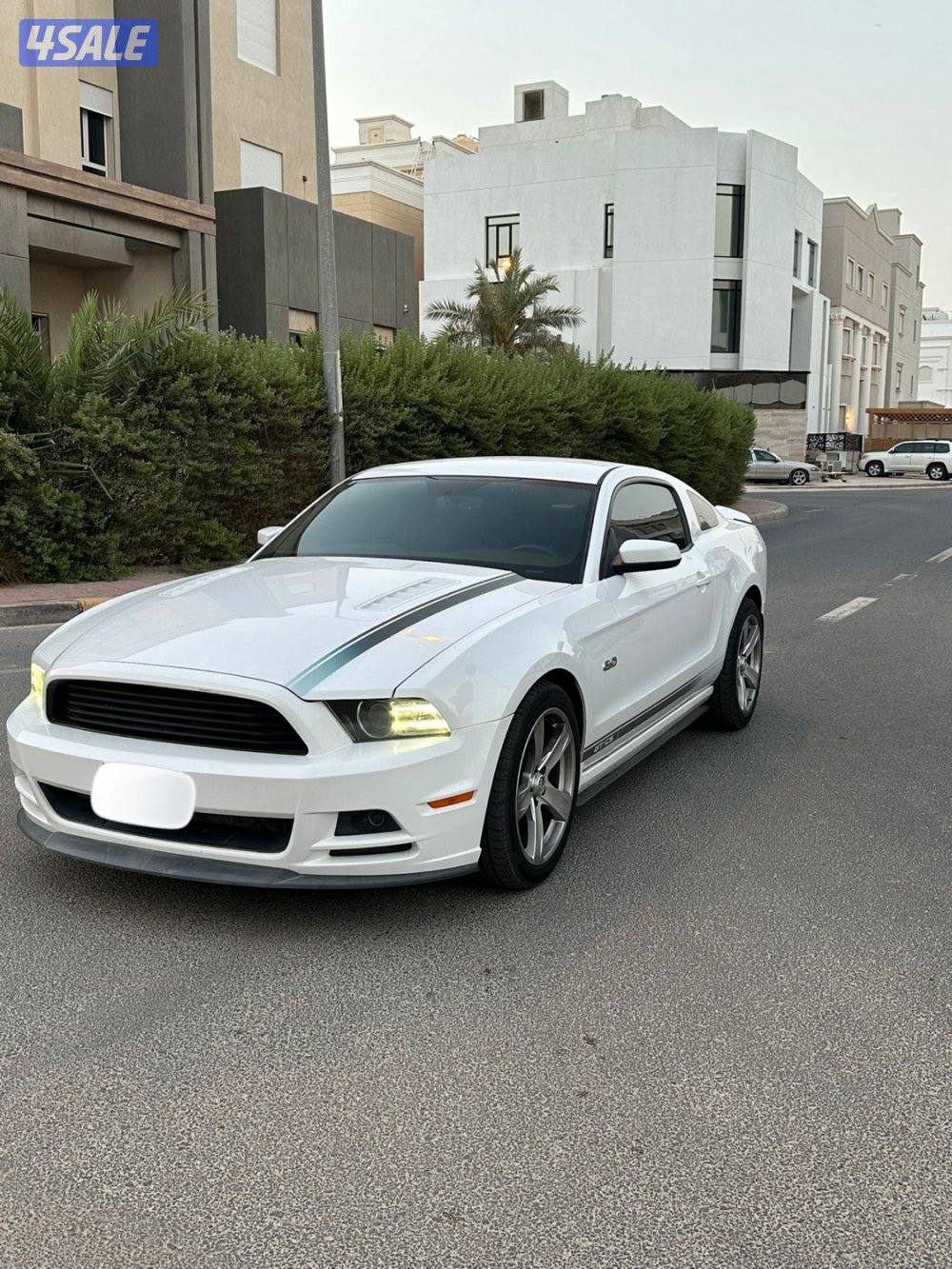 موستنج ٢٠١٤ حاله الوكاله6