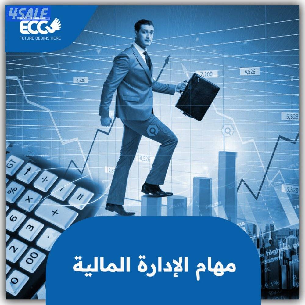 مدير حسابات  ( يبحث عن عمل )0