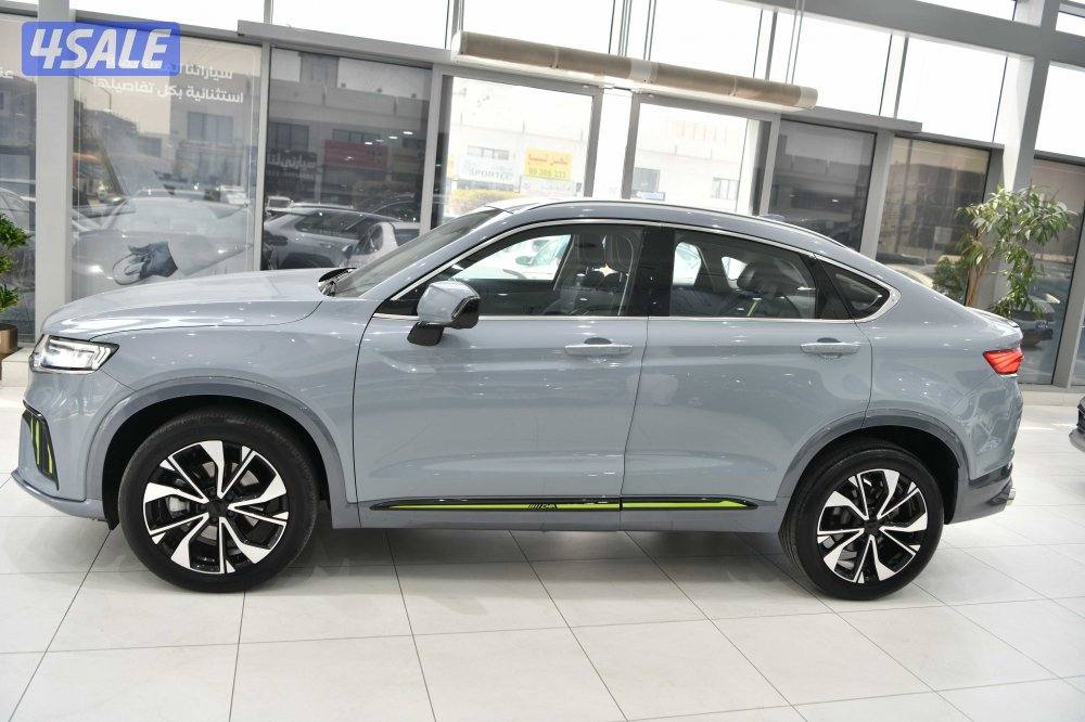 جيلي توجيلا2