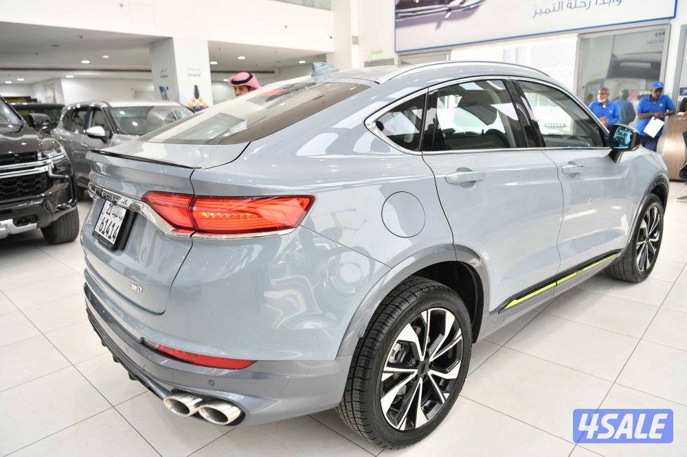 جيلي توجيلا6