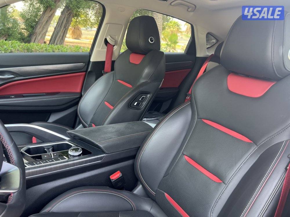 2022 جيلي توجيلا9