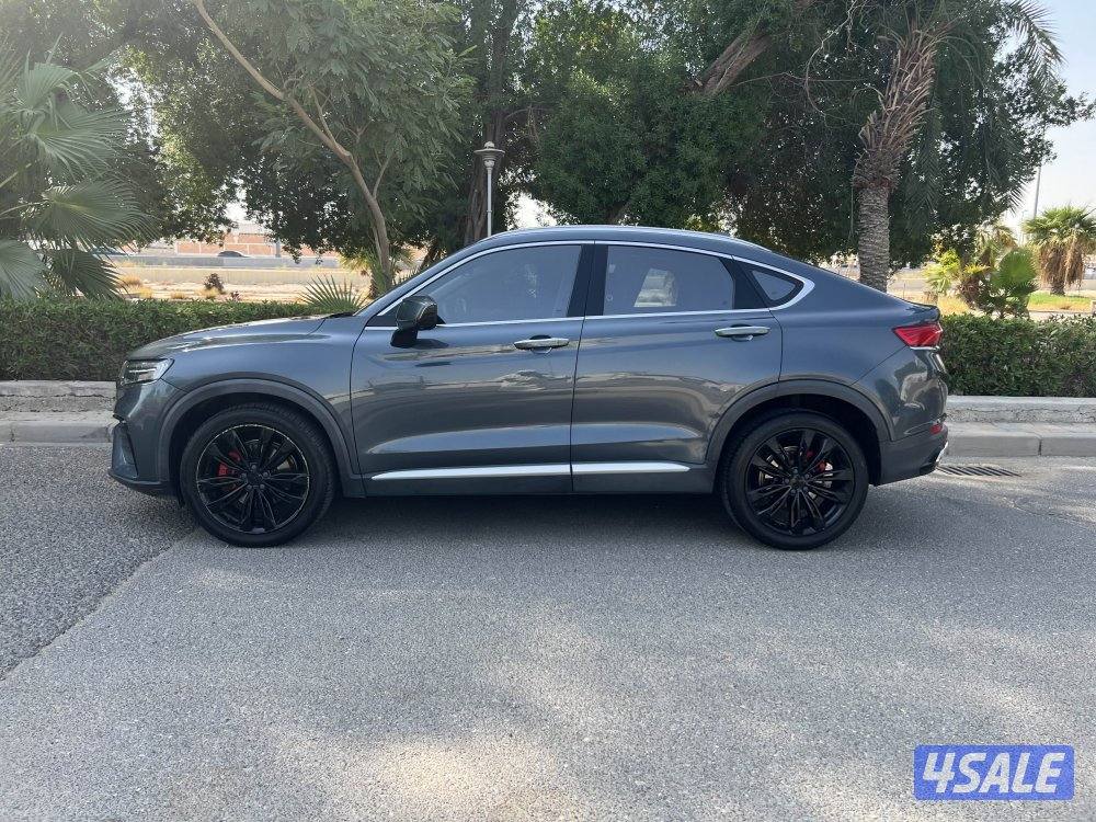 2022 جيلي توجيلا8