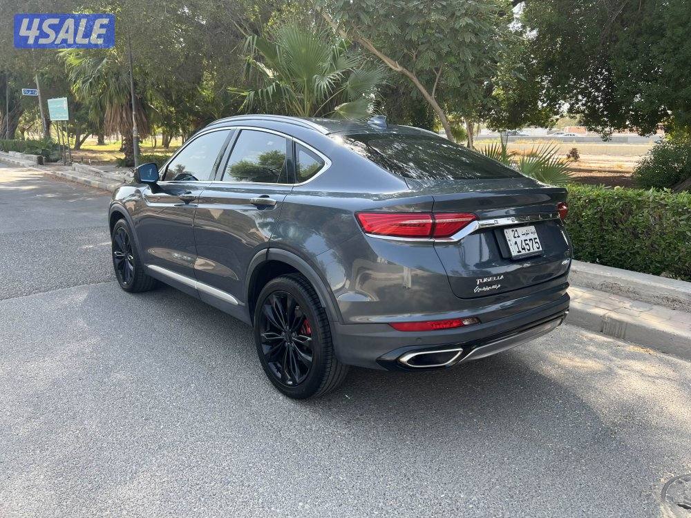 2022 جيلي توجيلا4