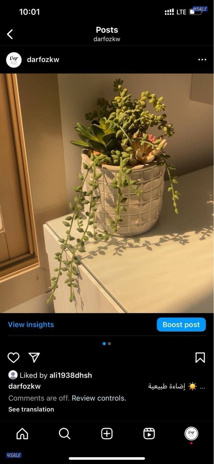 استراحة في كبد14