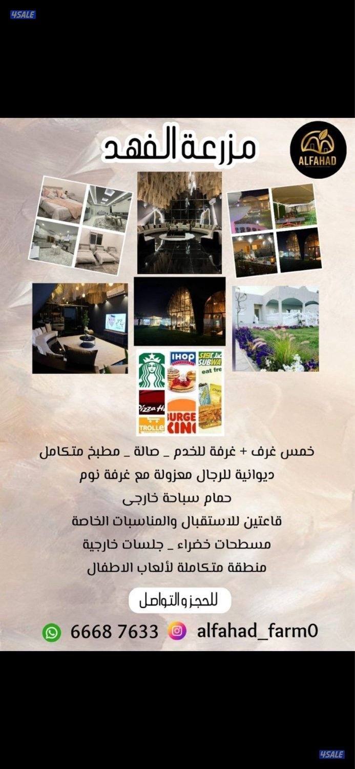 مزرعة الفهد للإيجار في مزارع الوفرة ( الكويت) 🇰🇼 ايجار يومي2