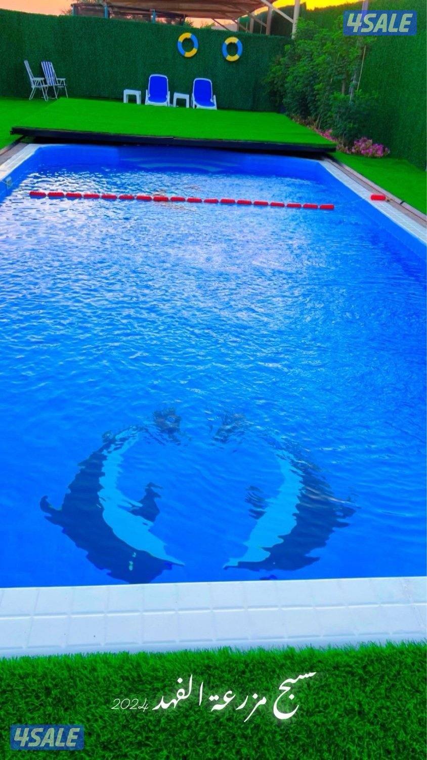 مزرعة الفهد للإيجار في مزارع الوفرة ( الكويت) 🇰🇼 ايجار يومي3