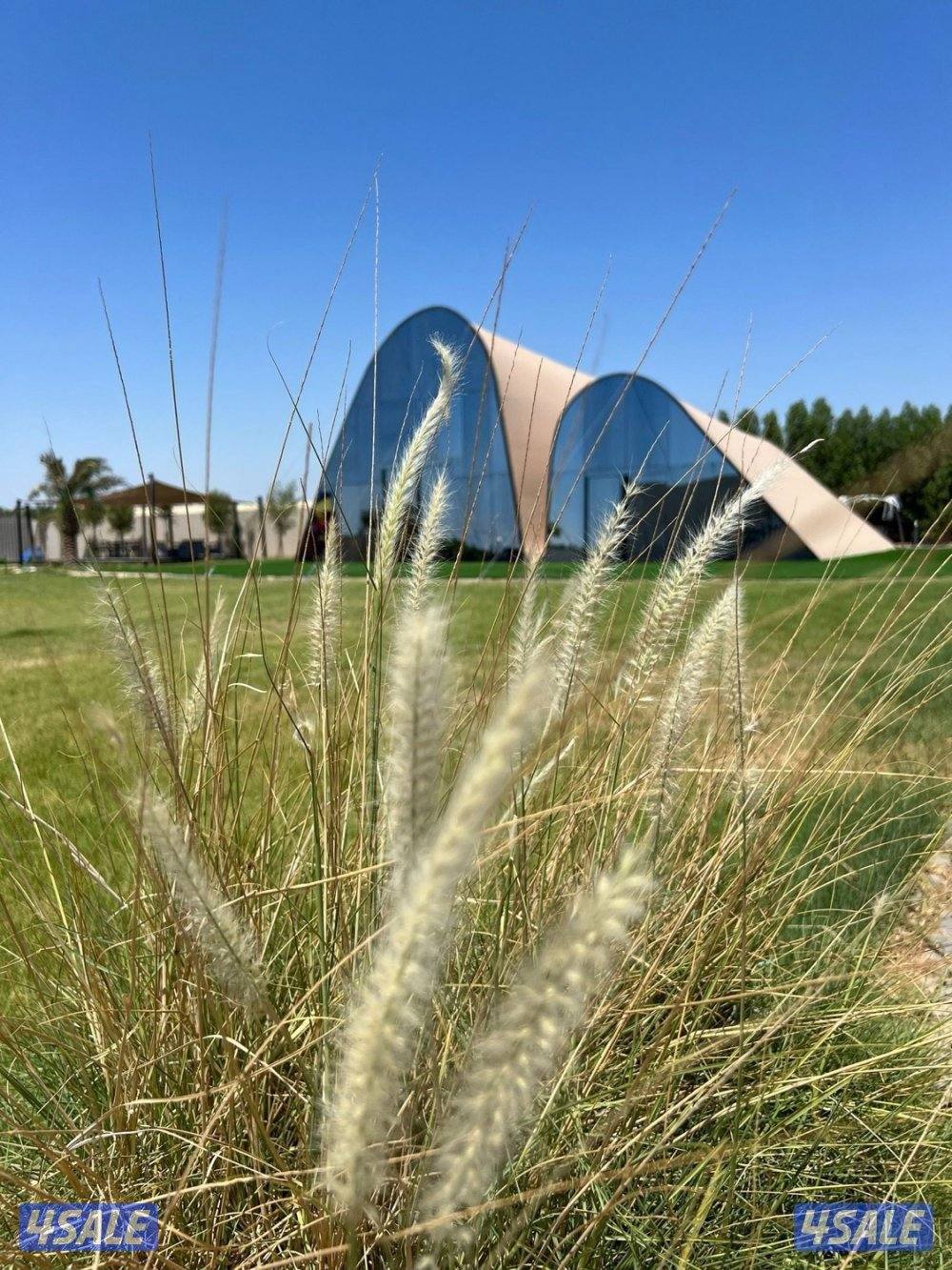 مزرعة الفهد للإيجار في مزارع الوفرة ( الكويت) 🇰🇼 ايجار يومي5