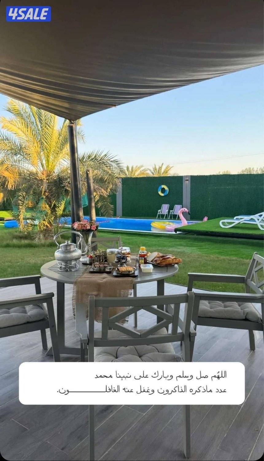 مزرعة الفهد للإيجار في مزارع الوفرة ( الكويت) 🇰🇼 ايجار يومي4