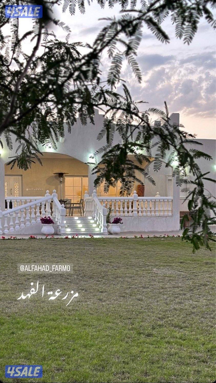 مزرعة الفهد للإيجار في مزارع الوفرة ( الكويت) 🇰🇼 ايجار يومي10