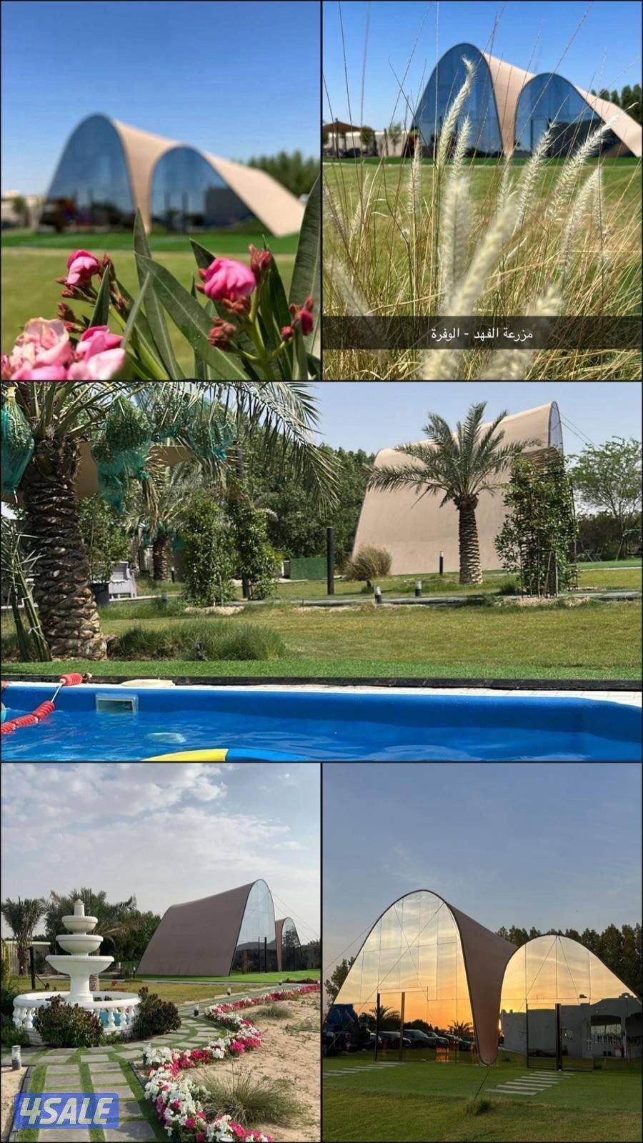 مزرعة الفهد للإيجار في مزارع الوفرة ( الكويت) 🇰🇼 ايجار يومي15