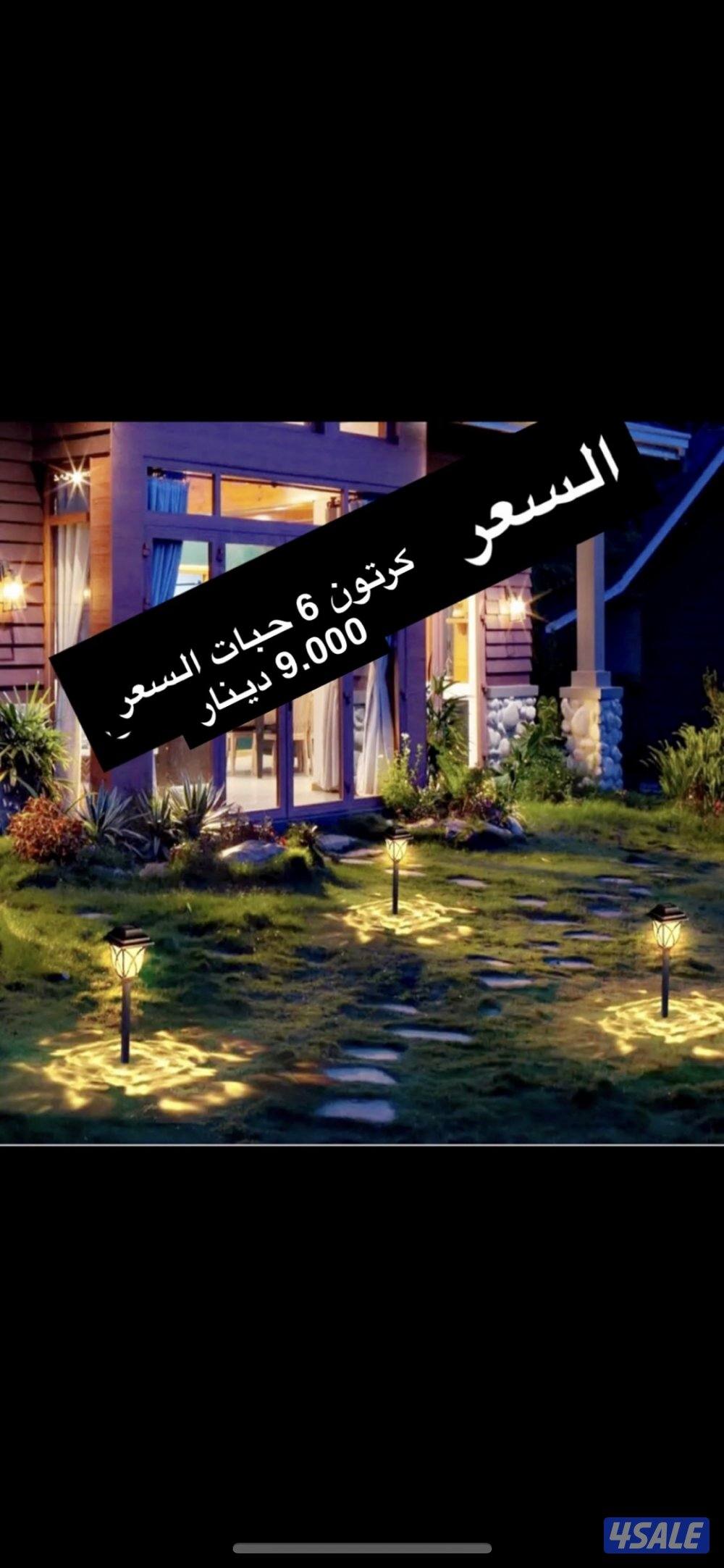 كشافات واضائات8