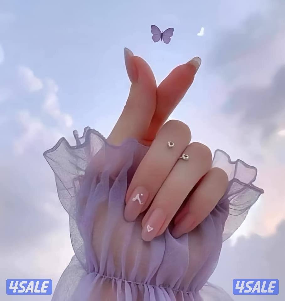 English 👩🏼🏫Teacher 👩🏻🏫مدرسة لغه انجليزيه0