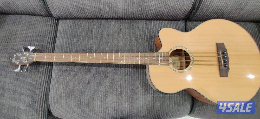 Cort Acoustic Bass Guitar0