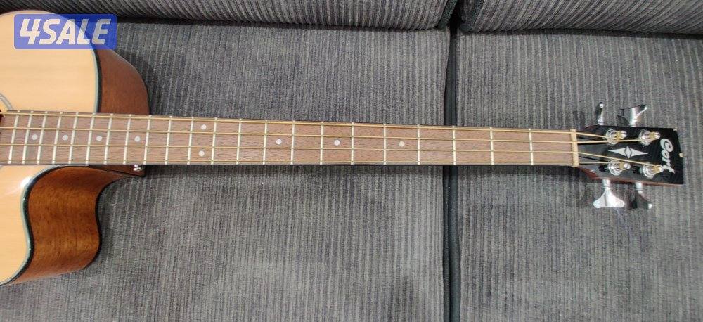 Cort Acoustic Bass Guitar3