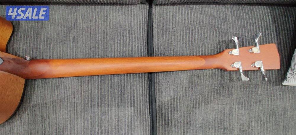 Cort Acoustic Bass Guitar6
