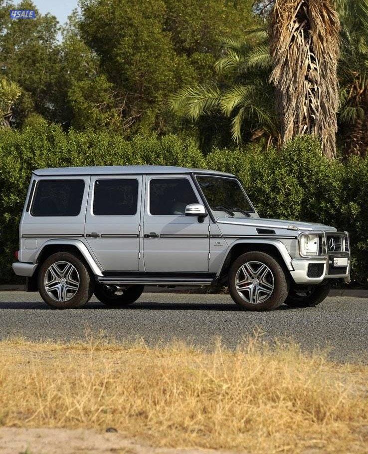 g63 20130