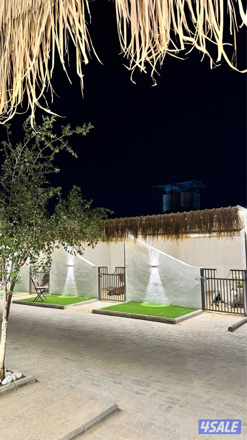 مربط العرين لإيواء الخيل وتعليم الركوب0