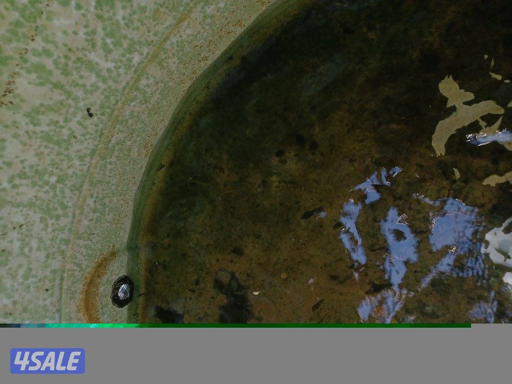 غسيل وتصليح جميع انواع التوانكي. من الصدا  والطحالب والبيكتريا.8