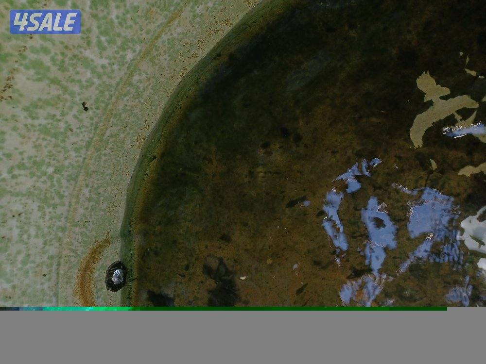 غسيل وتصليح جميع انواع التوانكي. من الصدا  والطحالب والبيكتريا.15