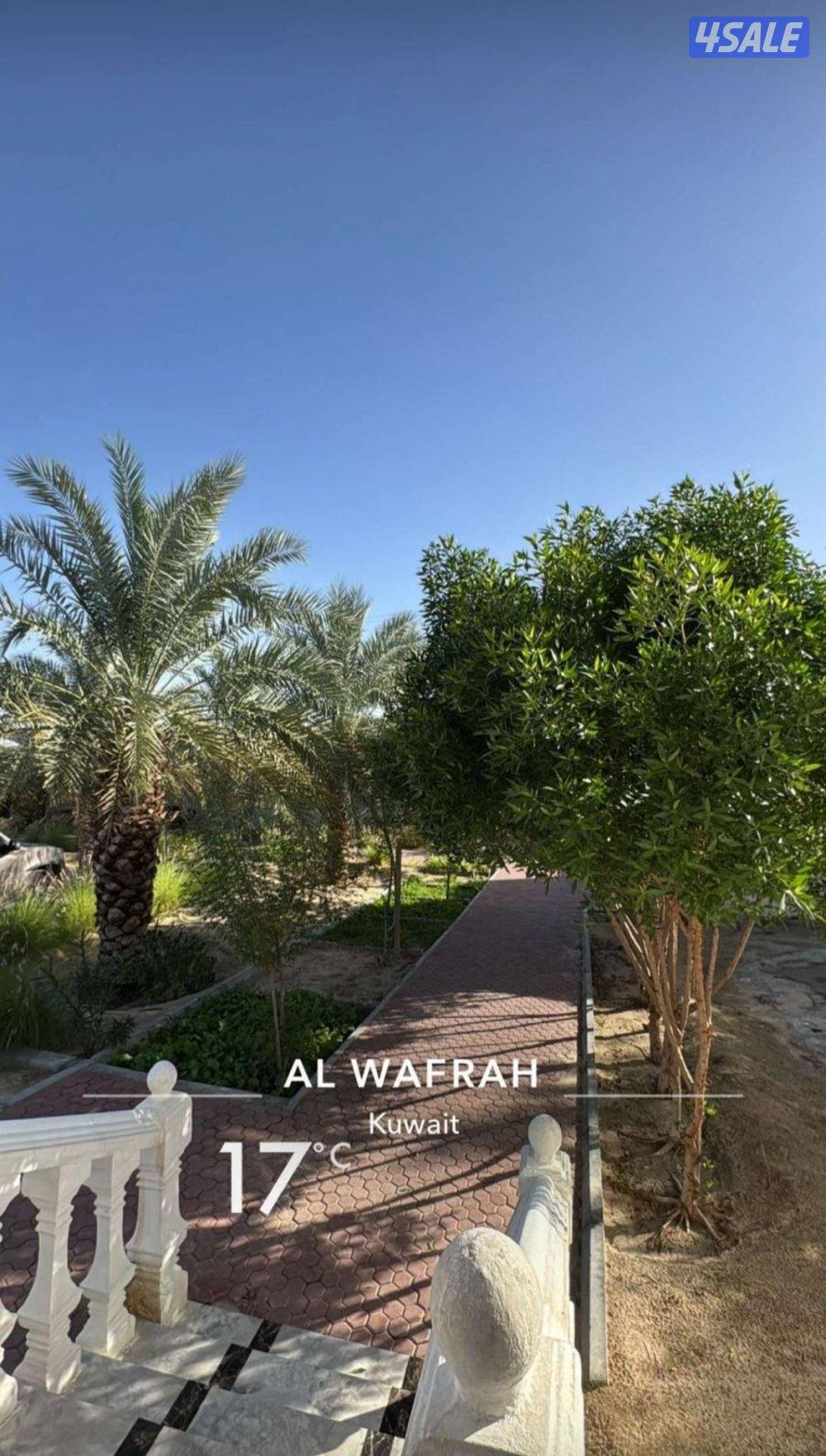 مزرعة الجابريه طريق 700 مكونه من 8 غرف ومسطحات خضراء مسبح مغطى4