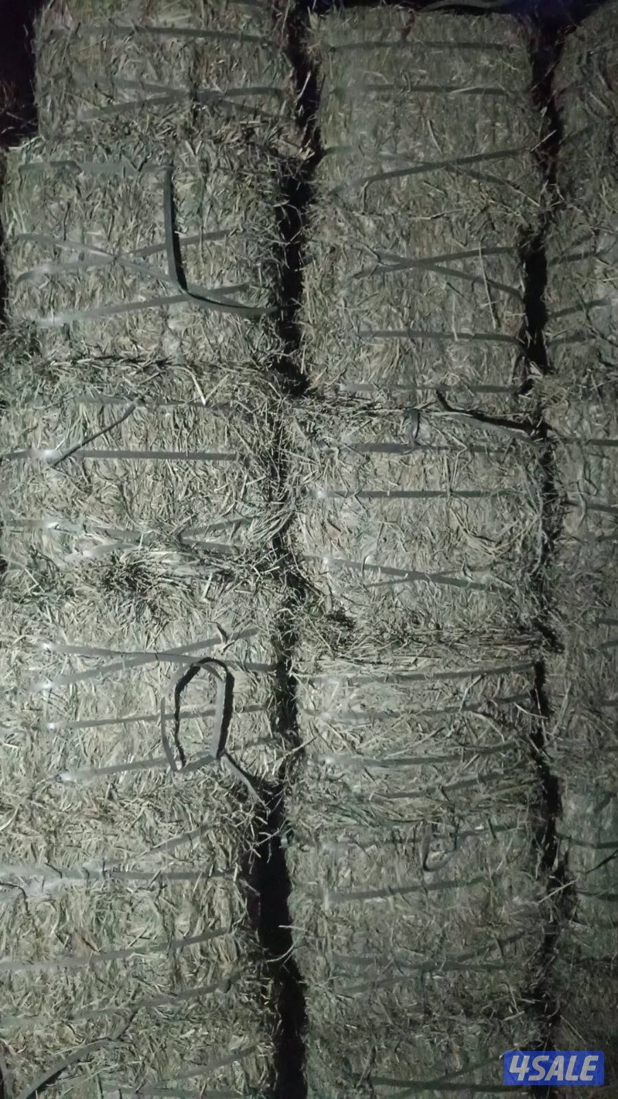 للبيع رودس باكستاني1