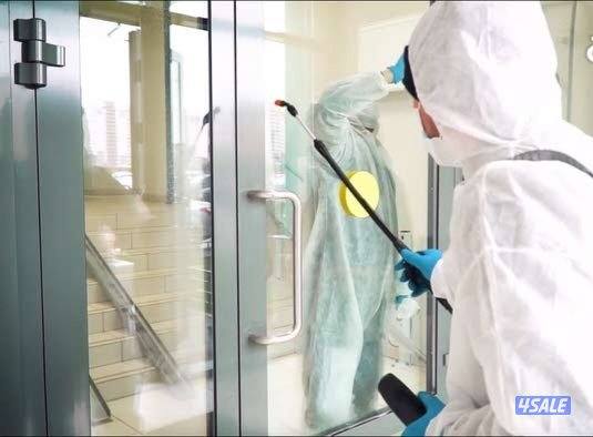 رش حشرات كفالة سنه ومراجعه مجانيه4