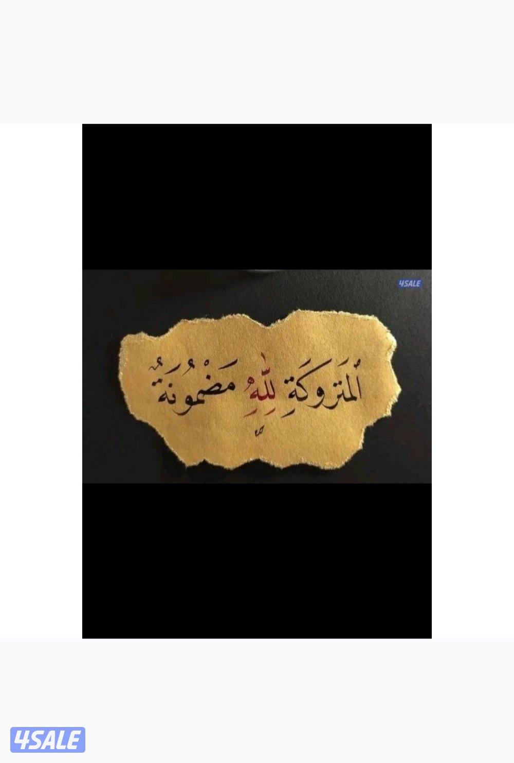 شاب خبرة في العمل الإداري وتخليص المعاملات0