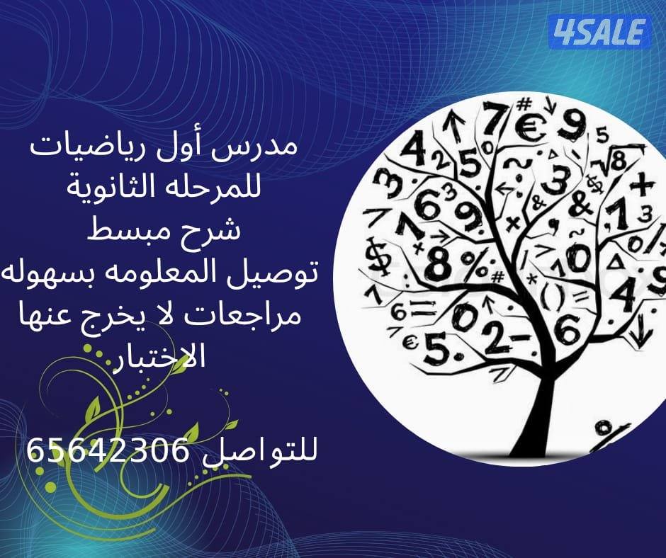 مدرس رياضيات ثانوي وجامعي متميز1