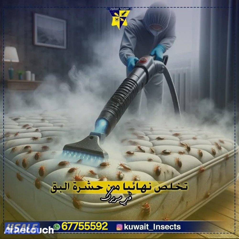 رش حشرات كفالة سنه ومراجعه مجانيه2