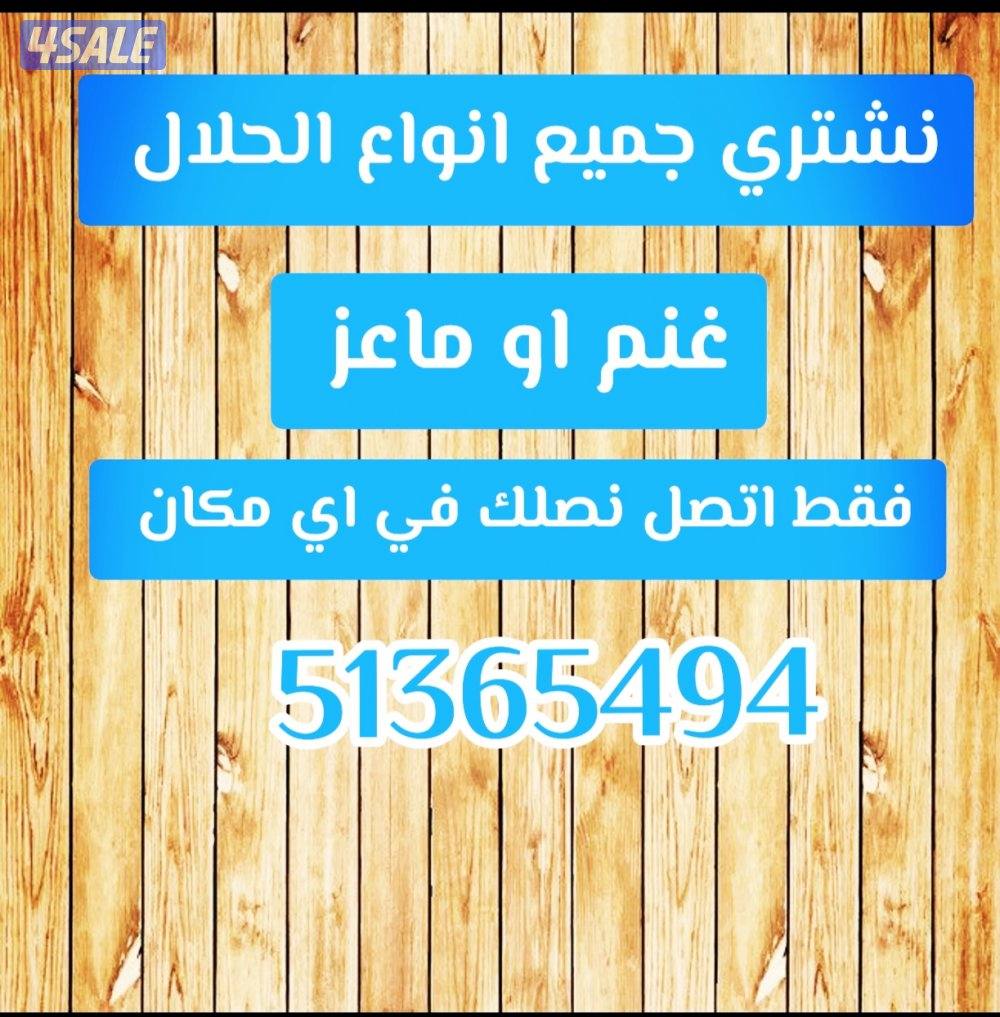 نشتري جميع انواع الحلال غنم او ماعز ولدفع كاش أو رابط فقط اتصل0