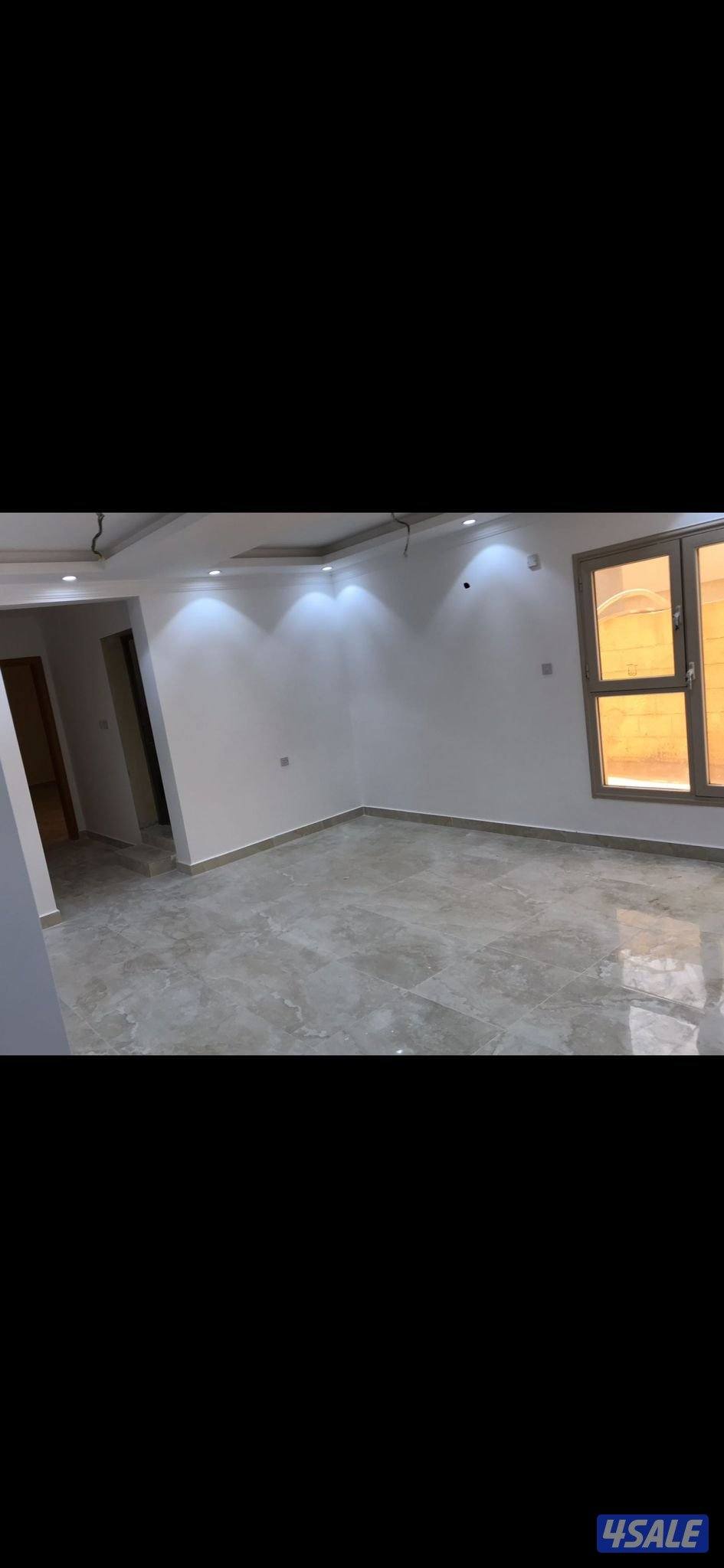 للاجار شقه بالرقه قطعه ١6