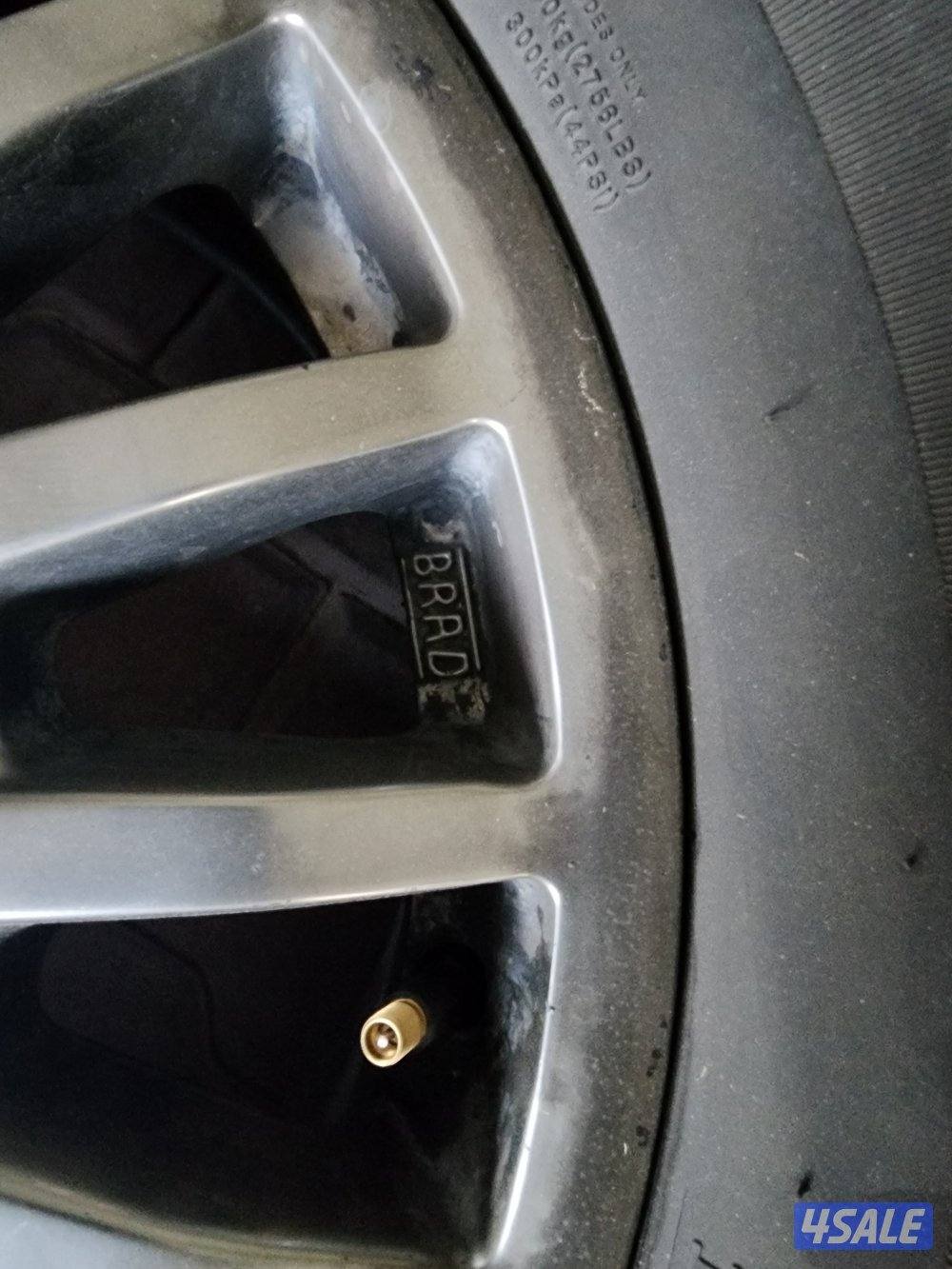 رنجات برايد  مع تواير عدد ٤1