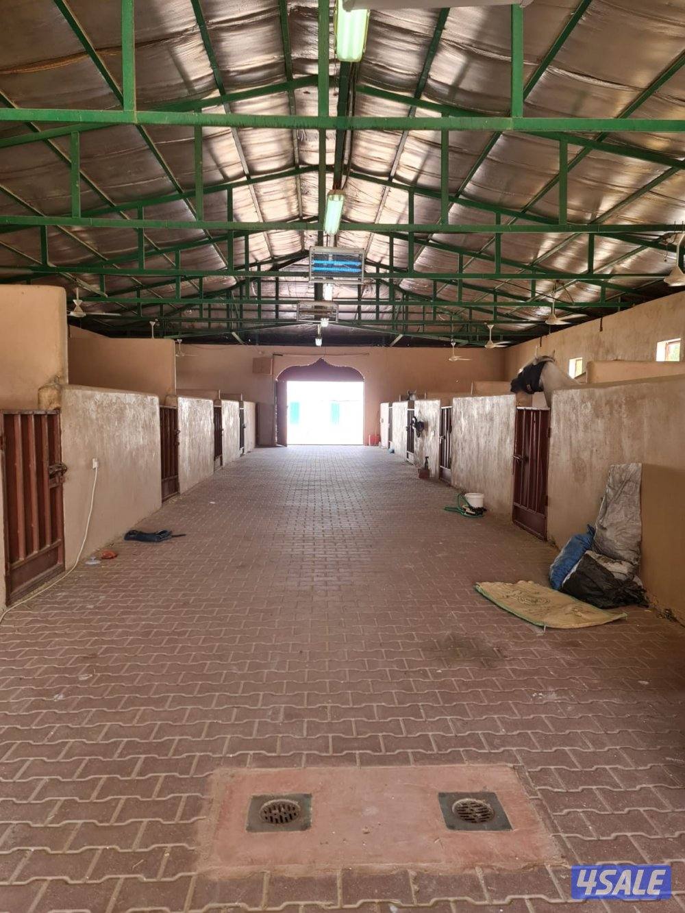 مربط خيل بالوفره بجانب مستشفى الخيل بالوفره .. بناجر فقط0